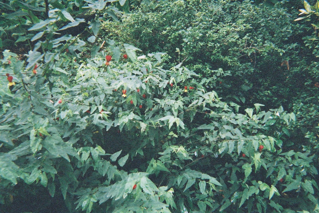F1030033