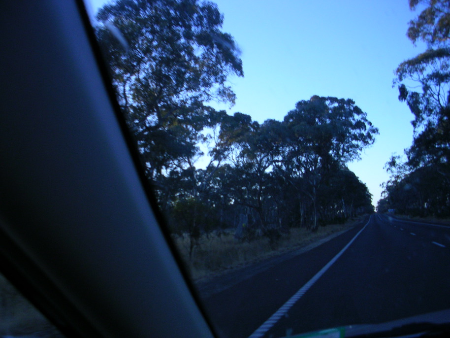 DSCN3149