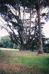 F1030037