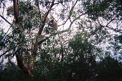 F1030001