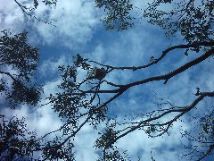 IMAG0207