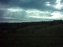 IMAG0217