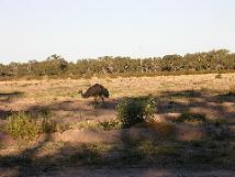 DSCN3138