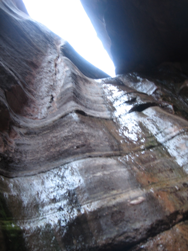 Blacktail Canyon, looking up