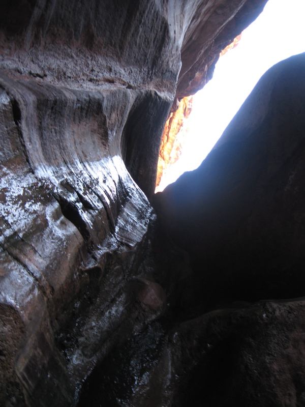 Blacktail Canyon, looking up