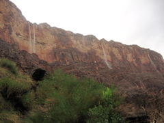 Waterfalls from the rain