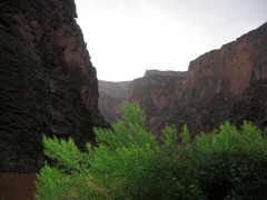 IMG_1125.JPG