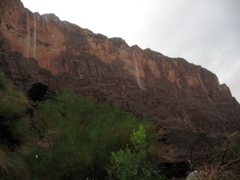 IMG_1126.JPG