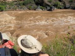 Lava Falls