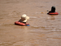 Swimming the rapid