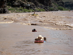 When you swim a rapid, you're supposed to keep your feet first.