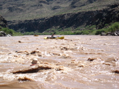 An oar boat ahead!