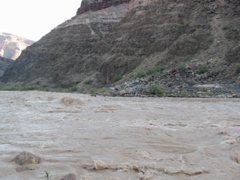 STC_1075.JPG