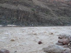 STF_1078.JPG