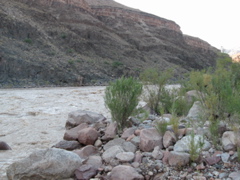STG_1079.JPG
