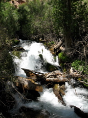 Base of thunder falls, where we stopped to rest when we couldn't quite make it to the top of the hike