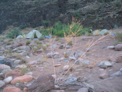 Our bedraggled camp after a sudden sand and rain storm made us pitch tends in the middle of the night