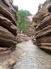Deer Creek Patio