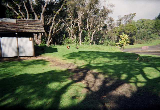 00360033