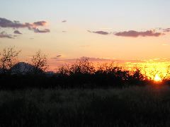 IMG_0293.JPG