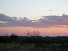 IMG_0294.JPG