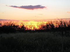 IMG_0296.JPG