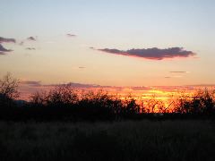IMG_0297.JPG