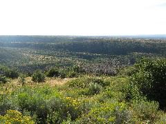 STB_0307.JPG