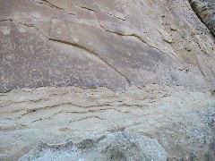 STC_0313.JPG
