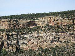 Dwelling barely viewable from the petroglyph hike
