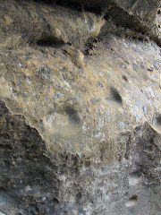 Ancient hand and footholds