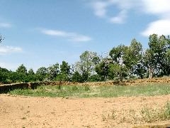 IMG_0185.JPG