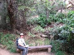 A place to rest on the way to Spruce Tree House