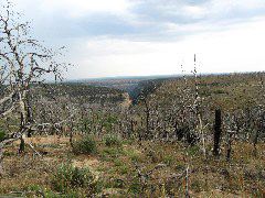 IMG_0225.JPG