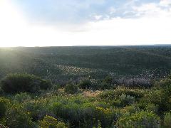 IMG_0228.JPG