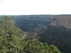 STB_0249.JPG