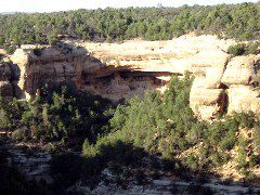 Cliff Palace from a far-away overlook