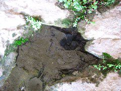 Water fills an ancient catchpool