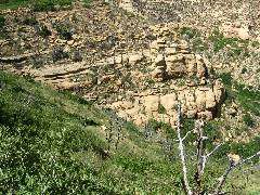 Can you find them now?  They're hidden in the cliff face.