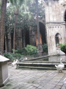 A bit of the cloister at the Barcelona Cathedral