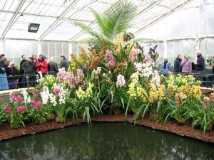 img_2505 No water lillies in the pavilion this time of year, but there was a display of spring irises on