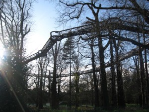 img_2522 A treetop walkway -- one of our favorite features of the Gardens
