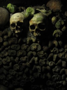 Close-up on bone walls.