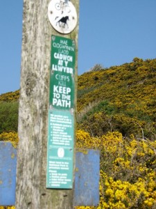 img_2901 The trail begins for real. Be sure not to fall of the cliffs and die. And be sure not to do something incomprehensible in Welsh, either.