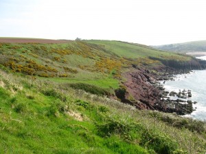 img_2910 Bucolic farmland.