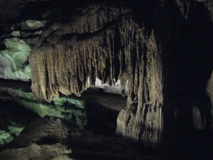 Mammoth cave is actually a "dry" cave -- for geological reasons, most of the water is in the very lowest levels.  So there are really very few traditional "formations" (stalactites and curtains and so on).  This is one of the rare ones.
