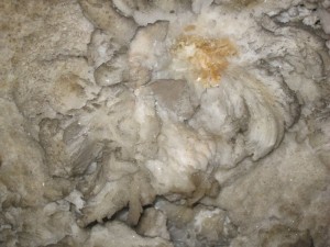 A gypsum flower, close up.